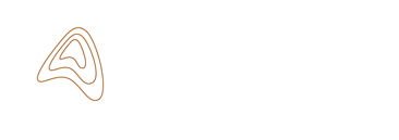 studio apogeo